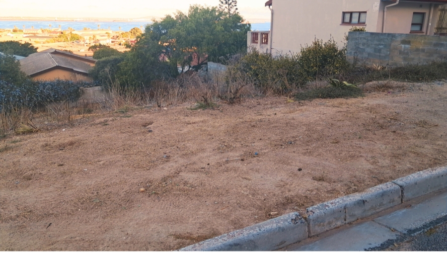 0 Bedroom Property for Sale in Saldanha Western Cape